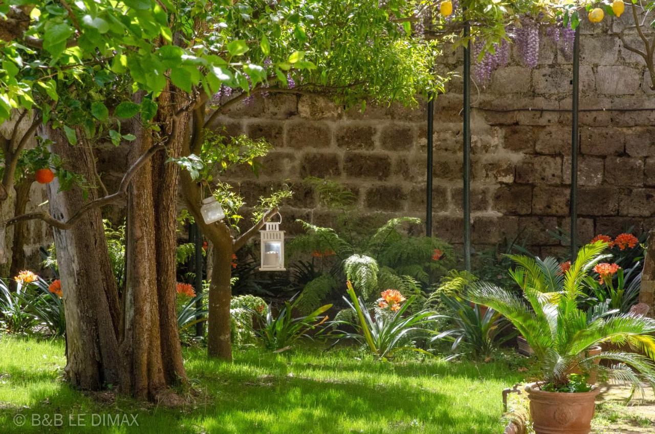 Bed and Breakfast Le Dimax Sant'Agnello Exterior foto